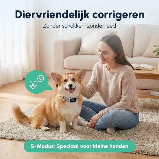 Lumivéra® Anti Blafband voor Honden – Zonder Schok, USB Oplaadbaar